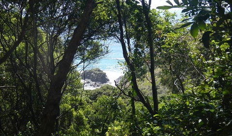 Rainforest Walking Track - Darwin Holiday 0