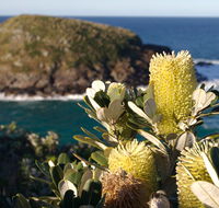 Green Island walking track - Darwin Holiday