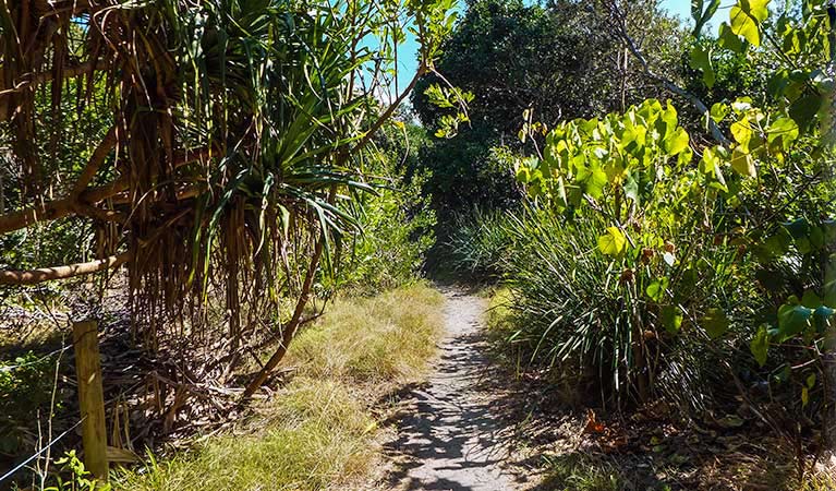 New Brighton NSW Darwin Holiday