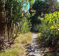 North Head walking track - Darwin Holiday