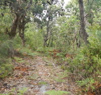 Kinchela Trig Lookout walk - Darwin Holiday