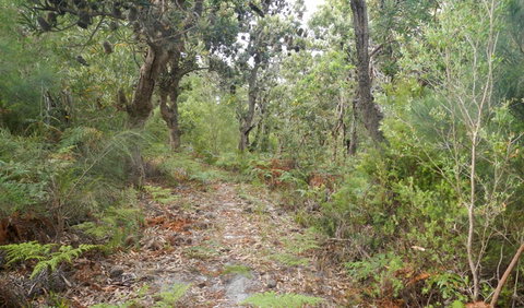 Kinchela Trig Lookout Walk - Darwin Holiday 0