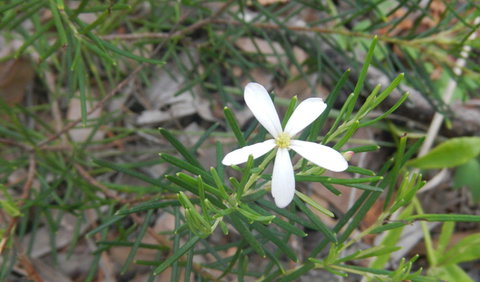 Kinchela Trig Lookout Walk - Darwin Holiday 3