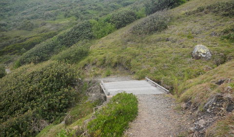 Connors Walking Track - Darwin Holiday 2