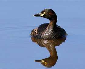 Panboola Wetlands - Darwin Holiday 0