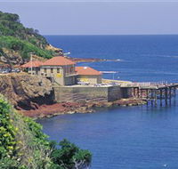 Merimbula Aquarium - Darwin Holiday