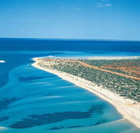 Monkey Mia - Darwin Holiday