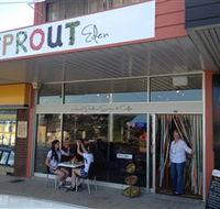 Sprout Eden - Darwin Holiday