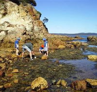 Sapphire Coast Marine Discovery Centre - Darwin Holiday