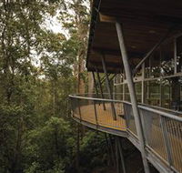 Tarkine Forest Adventures - Dismal Swamp - Darwin Holiday