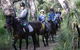 Mirravale Horse Riding School - thumb 0