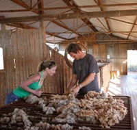 Peron Homestead - Darwin Holiday