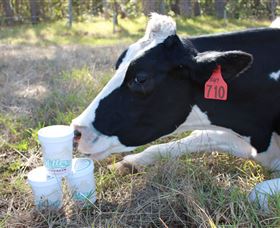 Millers Ice Cream - Darwin Holiday 2