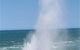 Blowholes And Point Quobba - thumb 0