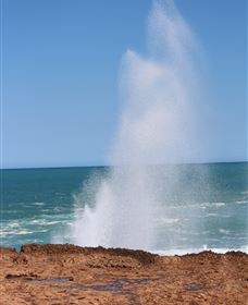 Blowholes And Point Quobba - Darwin Holiday 0