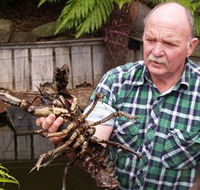 Lobster Ponds - Darwin Holiday