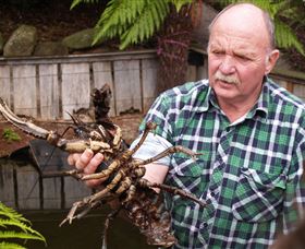 Lobster Ponds - Darwin Holiday 0