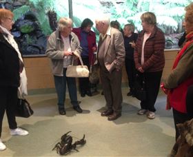 Lobster Ponds - Darwin Holiday 1