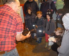 Lobster Ponds - Darwin Holiday 3
