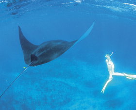 Ningaloo Reef - Darwin Holiday 3