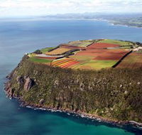 Table Cape - Darwin Holiday