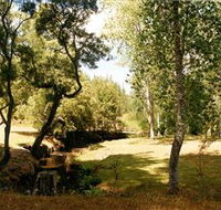 Oldina Picnic Area - Darwin Holiday