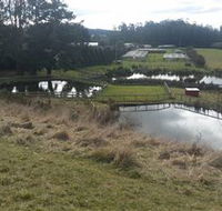 Guide Falls Farm - Darwin Holiday