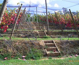 Motton Terraces - Darwin Holiday 2