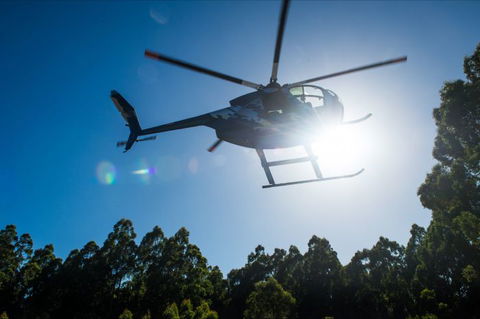 Tall Timbers Adventure Tours - Darwin Holiday 5