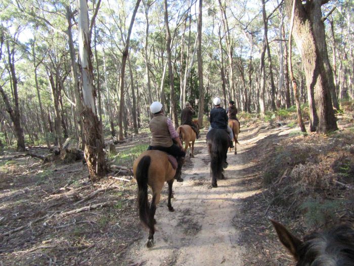 Spring Hill VIC Darwin Holiday