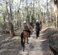 Silver Brumby Trails - Darwin Holiday