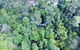 Southern Cross Day Tours Gold Coast - thumb 1