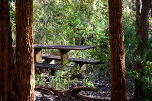 Karrak Reach Forest Retreat - Darwin Holiday 1
