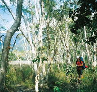 Thorsborne Trail Hinchinbrook Island National Park - Darwin Holiday