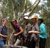 Echidna Walkabout Nature Tours - Darwin Holiday