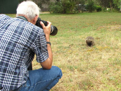 Echidna Walkabout Nature Tours - Darwin Holiday 9