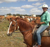 Myella Farm Stay Tours - Darwin Holiday