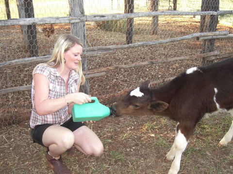 Myella Farm Stay Tours - Darwin Holiday 1