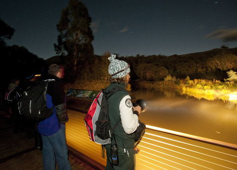 Naturewise At Tidbinbilla - Darwin Holiday 1