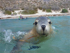 Calypso Star Charters - Darwin Holiday 2