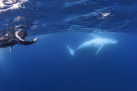 Sunreef Mooloolaba - Darwin Holiday 3