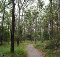 Caboolture Regional Environment Education Centre - Walking Trails - Darwin Holiday