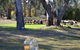 Glendale Citrus & Hazelnut Orchard - thumb 4