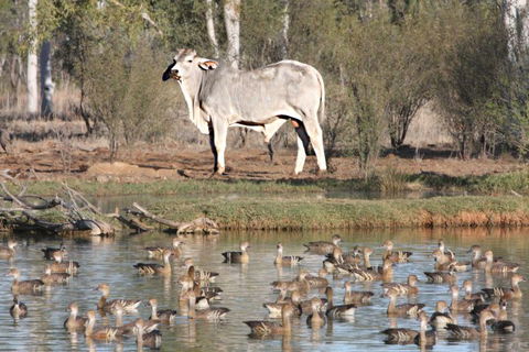 Natural Encounters Trail - Darwin Holiday 2