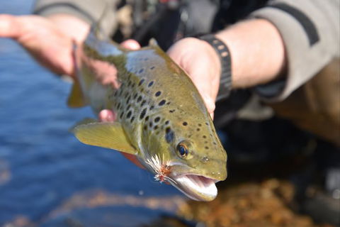 River Escapes - Darwin Holiday 2