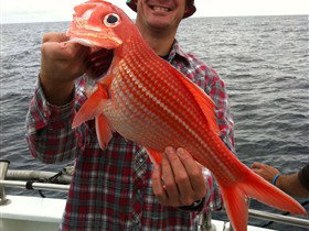 Goin' Off Safaris - Darwin Holiday 0