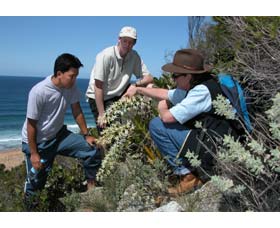 Sapphire Coast Ecotours - Darwin Holiday 0