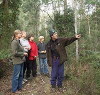 Great Western Tiers Forest Walks Tasmania - Darwin Holiday