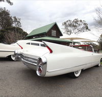 Hunter Valley Cadillacs - Darwin Holiday
