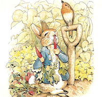 Mount Isa Civic Centre - Darwin Holiday